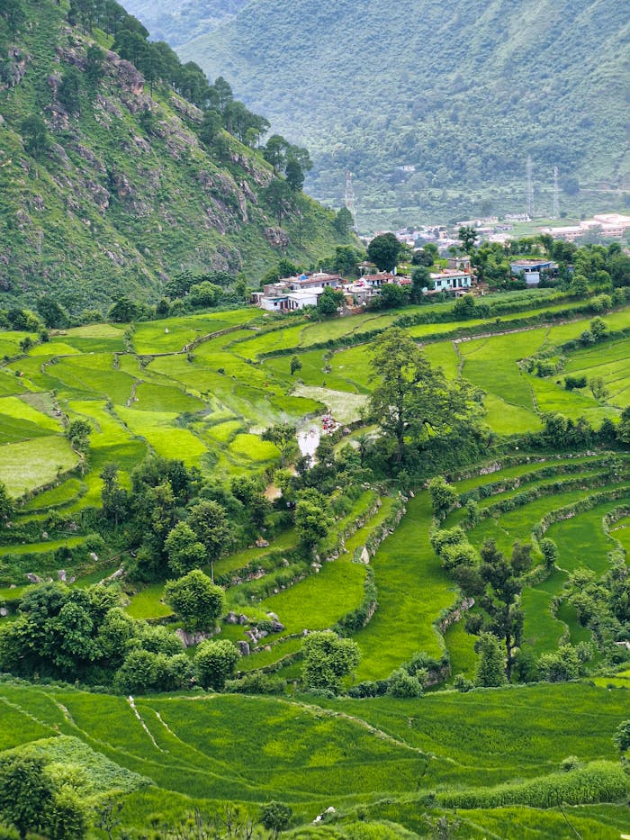 hero-gallery-02 Peaceful terraced fields and village in Uttarakhand's scenic mountain landscape.